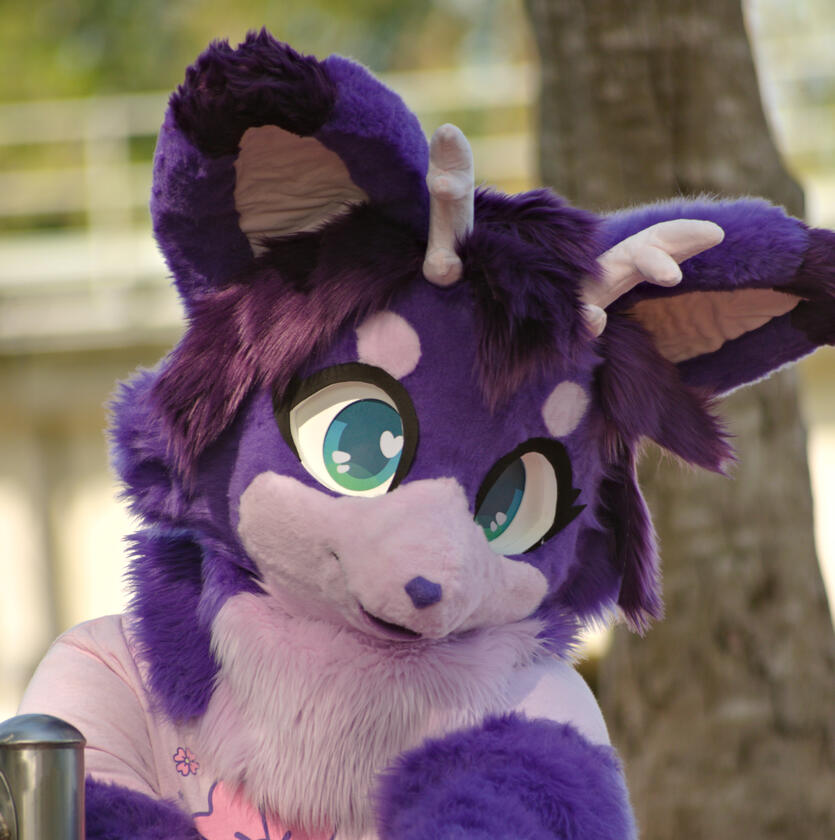 Vulp